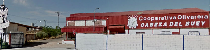 cooperativa-olivarera-cabeza-del-buey-almagral.jpg